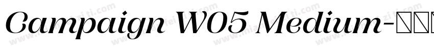 Campaign W05 Medium字体转换